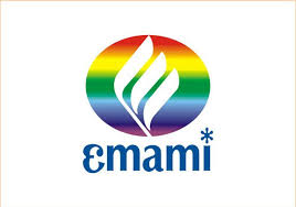 EMAMI CEMENT PLANT (BALODA BAZAR)